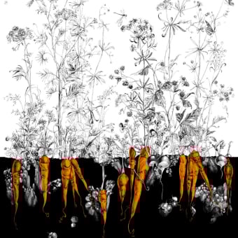 Papeles pintados panorámico Fenouil Sauvage Gauche
