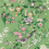 Chinoiserie Hall Wallpaper Sanderson Chinese Green/Lotus Pink DWAW217110