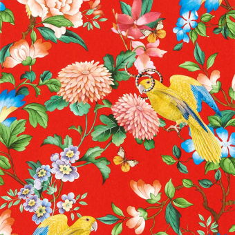 Golden Parrot Wallpaper