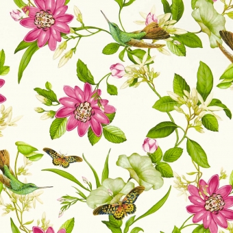 Pink Lotus Wallpaper