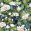 Waterlily Wallpaper Clarke and Clarke Midnight W0137/04