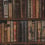 Library Wallpaper Andrew Martin Multi Library multi (pack de 2)