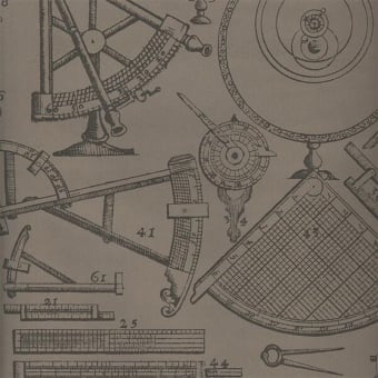 Carta da parati Newton