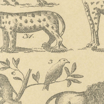Carta da parati Ark