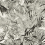 Papier peint Eden Roc Christian Lacroix Nacre PCL017/01
