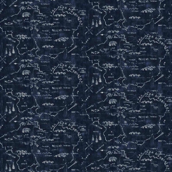 Silverton Map Fabric