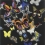 Carta da parati  Butterfly Parade Christian Lacroix Oscuro PCL008/02