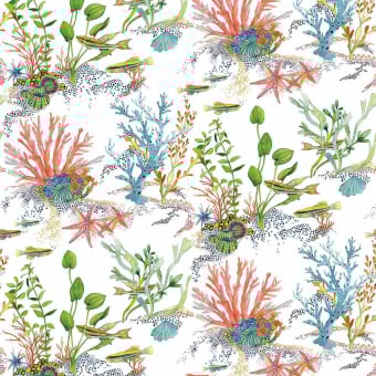 Coralline Wallpaper