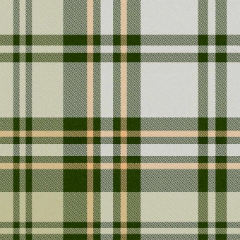 Carta da parati Chesterfield plaid