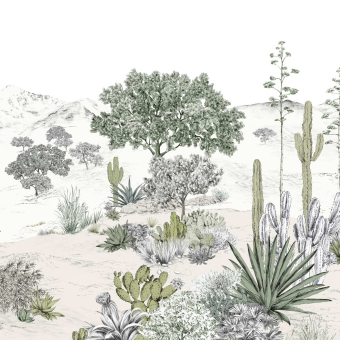 Papier peint panoramique Succulentes Naturel