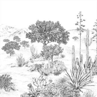 Panoramatapete Succulentes Grisaille 150x330 cm - 3 lés - côté gauche Isidore Leroy