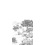 Panoramatapete Succulentes Grisaille Isidore Leroy 150x330 cm - 3 lés - côté gauche  6247601