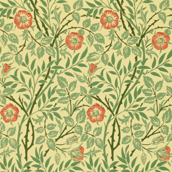 Tapete Sweet Briar Green/Blue/Rose Morris and Co