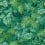 Papier peint Royal Fernery Cole and Son Forest Green 113/3009