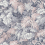 Papel pintado Royal Fernery Cole and Son Blush Pink 113/3010