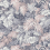 Royal Fernery Wallpaper Cole and Son Blush Pink 113/3010