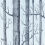 Papel pintado Woods Cole and Son Soot on Foil 69/12150