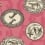 Tapete Matrinah Cole and Son Rose 109/4023