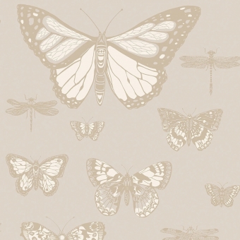 Papel pintado Butterflies and Dragonflies