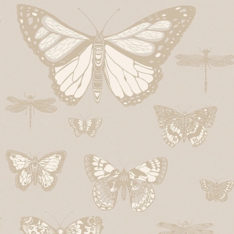 Papier peint Butterflies and Dragonflies Ciel/Rose Cole and Son