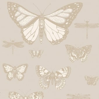 Papier peint Butterflies and Dragonflies