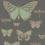 Butterflies and Dragonflies Wallpaper Cole and Son Charbon/Vert 103/15067