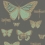 Carta da parati Butterflies and Dragonflies Cole and Son Charbon/Vert 103/15067