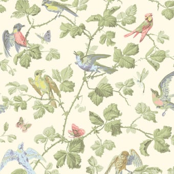 Carta da parati Winter Birds