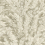 Florencecourt Wallpaper Cole and Son Beige 100/1005