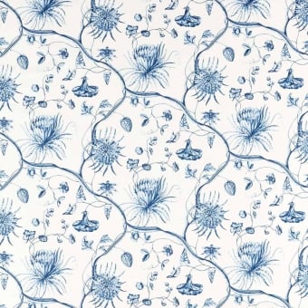 Phaedra Toile Fabric