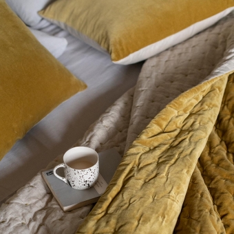 Golden Lichen Cushion