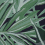Tessuto Chile Palm Lovell jacquard Outdoor Liberty Jade 08282101I