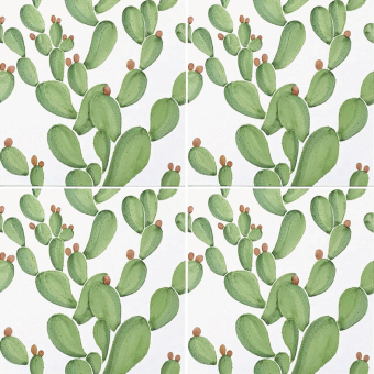 Piastrella Cactus