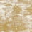 Derby Toile Fabric Rubelli Oro 30460-3