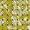 Piña Colada Outdoor Fabric Rubelli Chartreuse 30482-2