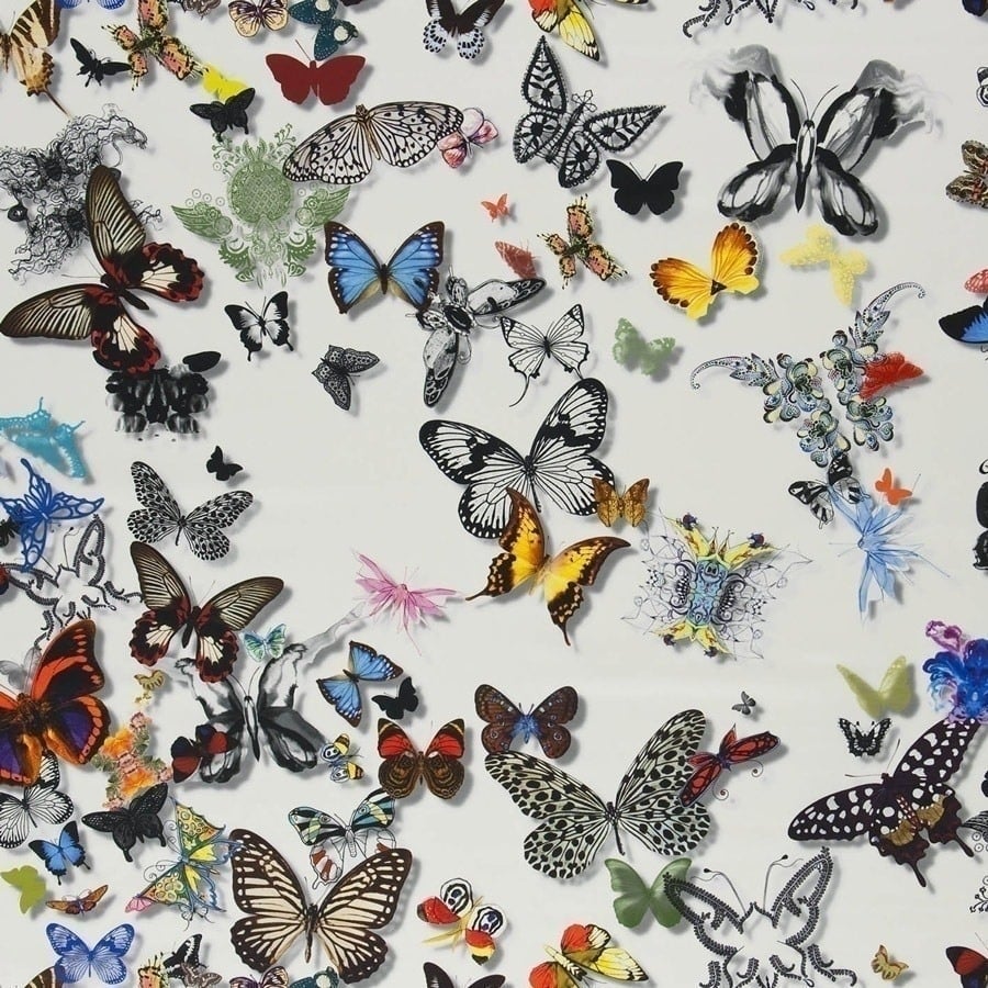 BUTTERFLY - Butterfly   コファレイトFL Amazon | バタフライ(Butterfly) 卓球 ラケット 樊振東 SUPER