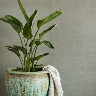 Revêtement mural Truffle - Natural Wallcoverings III