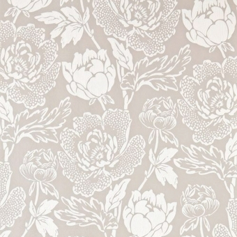 Peony Wallpaper