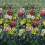 Carta da parati panoramica Tapestry Flower Designers Guild Vintage Green PDG1153/01