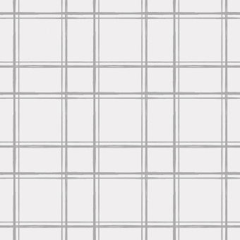 Carta da parati Graph Paper
