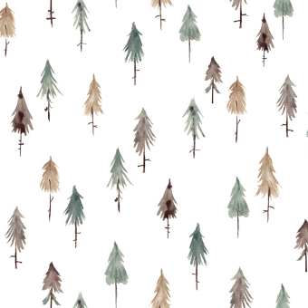 Pine Woods Wallpaper