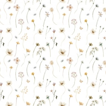 Papier peint Mayflowers