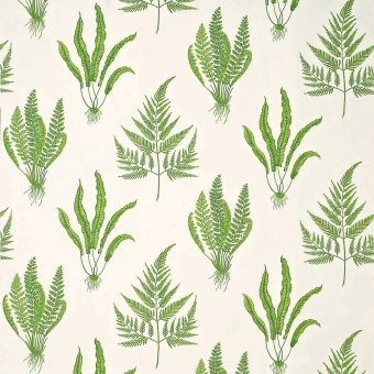 Tela Woodland Ferns