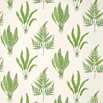 Tissu Woodland Ferns