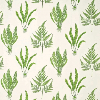 Woodland Ferns Fabric