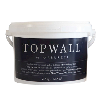 Topwall Adhesive Seau 2,5 kilos Masureel