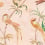 Pluma Wallpaper Romo Blush W444/03