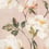 Odelia Wallpaper Romo Rose Mist W443/02