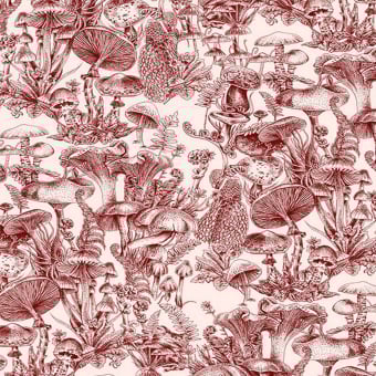Papel pintado Fungi Forest
