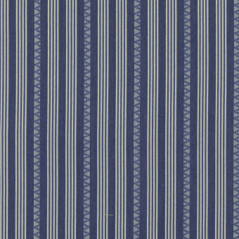 Kilim Stripe Fabric